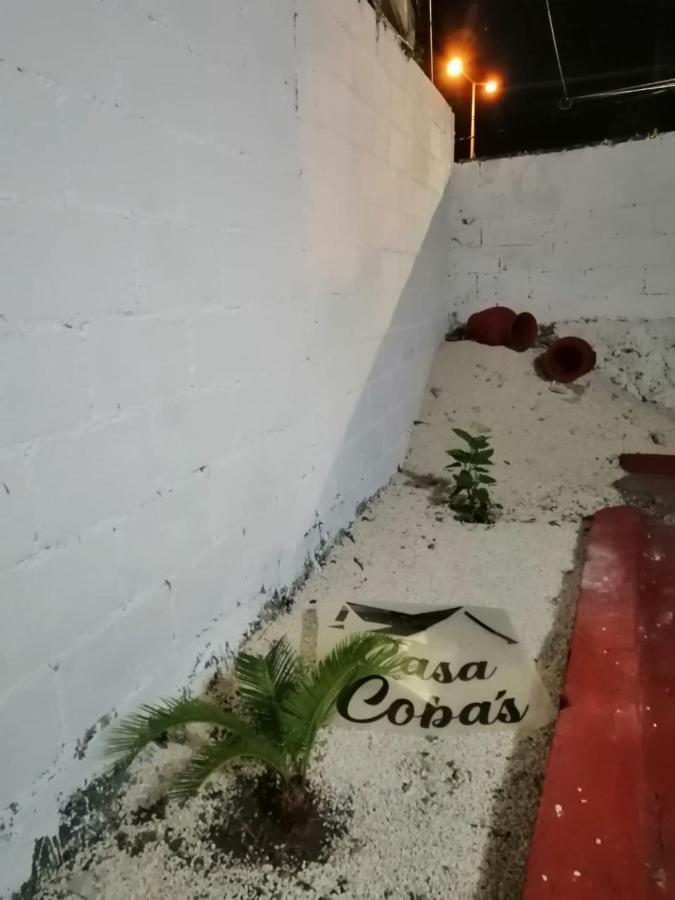 Cobas Departamentos Appartamento Mérida Esterno foto
